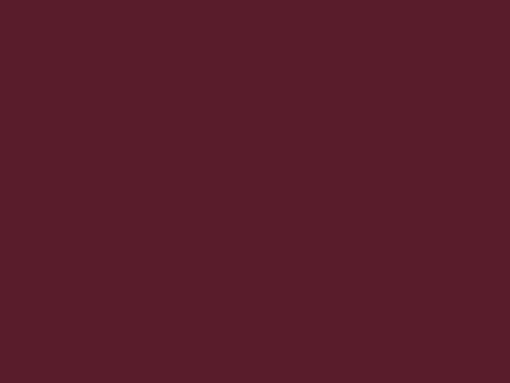 RAL 3005 (burgundy)